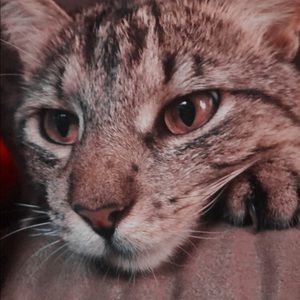 Meet your Posher, Kyla